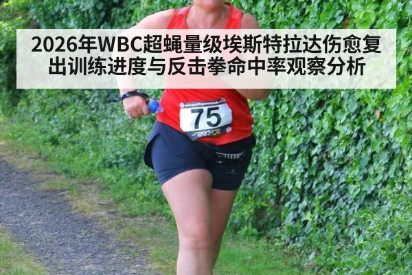 2026年WBC超蝇量级埃斯特拉达伤愈复出训练进度与反击拳命中率观察分析